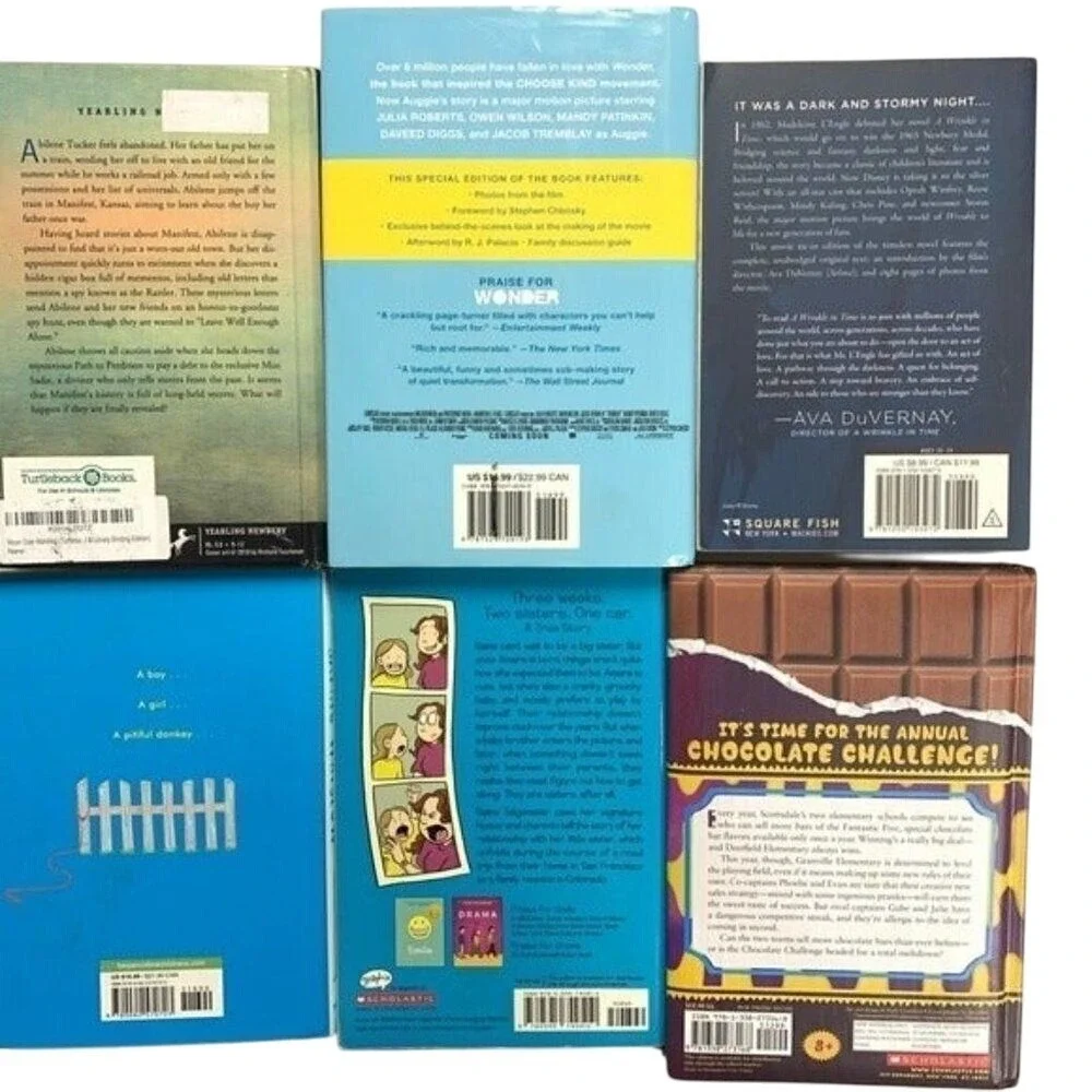 Mixed Lot Kids Chapter Books Wonder Sisters Moon Over Manifest Wrinkle In‎ Time
